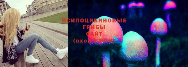 соль ск Гусь-Хрустальный