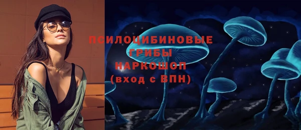 apvp Горнозаводск