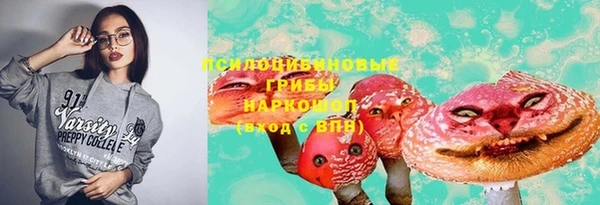 apvp Горнозаводск
