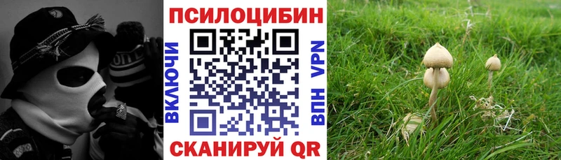 ОМГ ОМГ зеркало  Тында  Галлюциногенные грибы Psilocybine cubensis 
